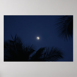 Bella Luna Poster