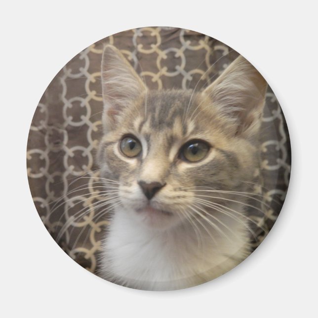 Bella Magnet (Framsidan)