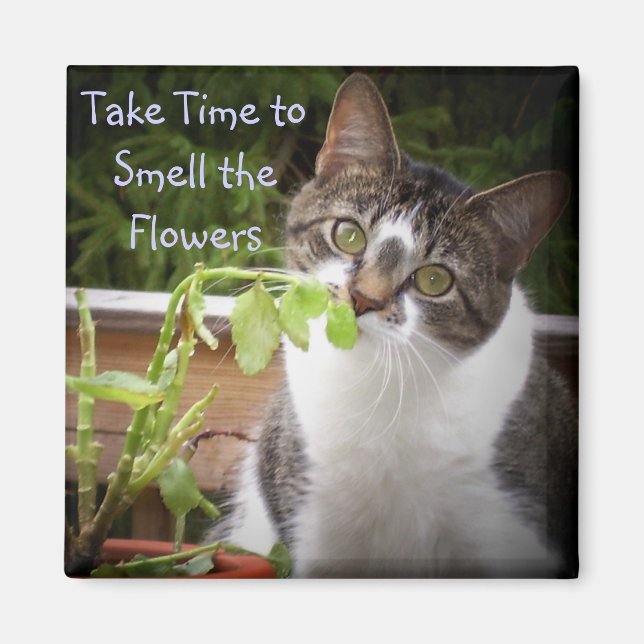 ’BELLA’ MAGNET (Framsidan)