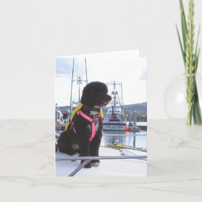 Bella och hundstopparen kort (Framsida)