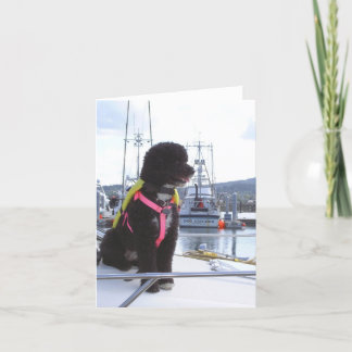 Bella och hundstopparen kort