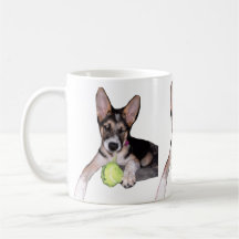 Bella Puppy w/Boll