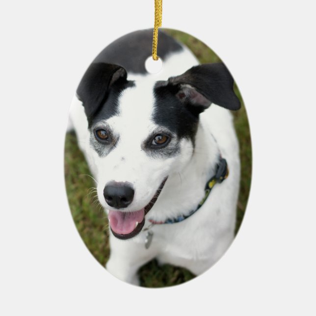 Bella räddinghunden julgransprydnad keramik (Framsidan)