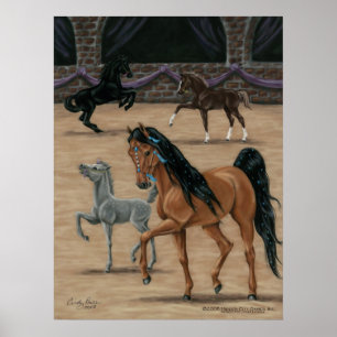 Bella Sara Jewel art print by Cindy Pris McMurray Poster