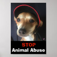 BELLA STOP POSTER DJURMISSBRUK