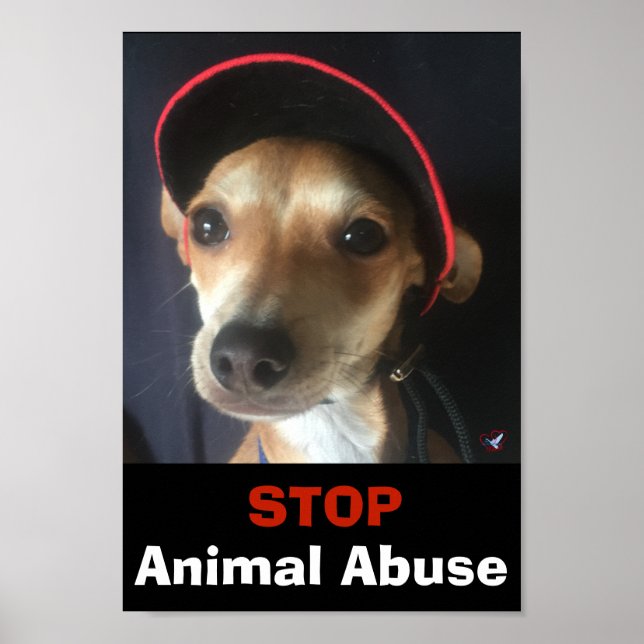 BELLA STOP POSTER DJURMISSBRUK (Framsidan)
