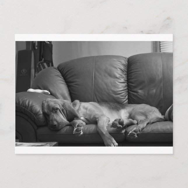 Bella Vykort (Framsida)