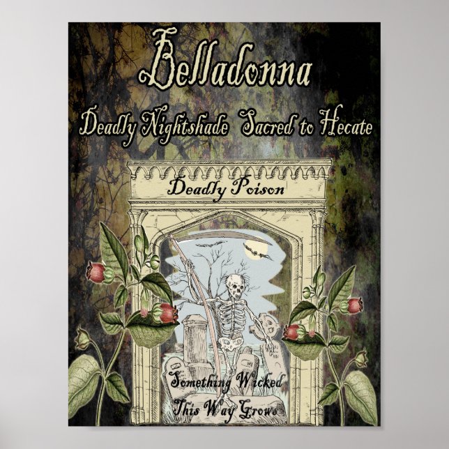 BELLADONNA WITCH'S HERB POSTER (Framsidan)