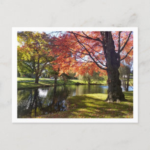 Bellarmine Pond, vykort för Fairfield Universitete