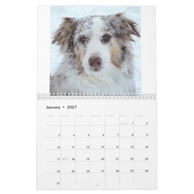 Bellatheaussie kalender 2015 (Jan 2027)