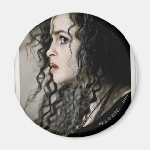 Bellatrix Leodd 2 Magnet