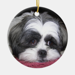 Belle den Shih Tzu hunden Julgransprydnad Keramik