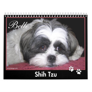 Belle den Shih Tzu kalendern Kalender