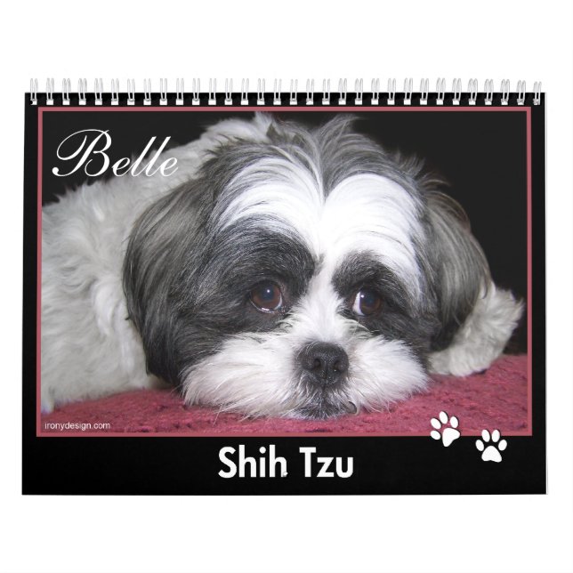Belle den Shih Tzu kalendern Kalender (Omslag)