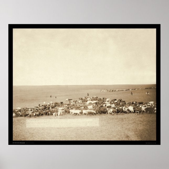 Belle Fouche Cowboy Round-Up SD 1887 Poster (Framsidan)