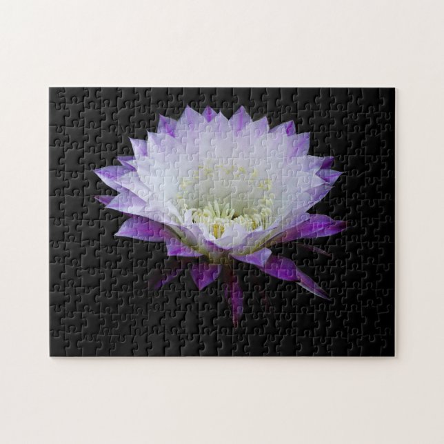 Belle från Boll nattbloomer Pussel (Horisontell)