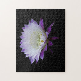 Belle från Boll nattbloomer Pussel