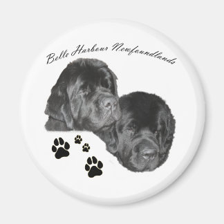Belle Harbor Newfoundlands Magnet