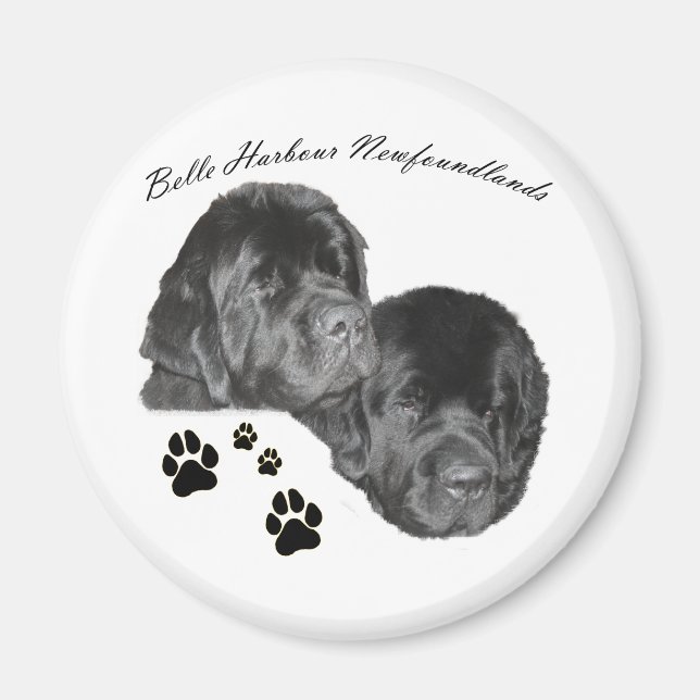 Belle Harbor Newfoundlands Magnet (Framsidan)