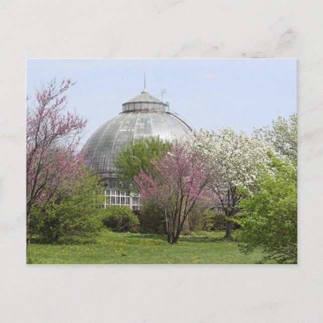 BelleIsle, Detroit, Michigan - drivhus Vykort (Framsida)