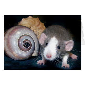 "Belle's" Spell! Hälsningskort