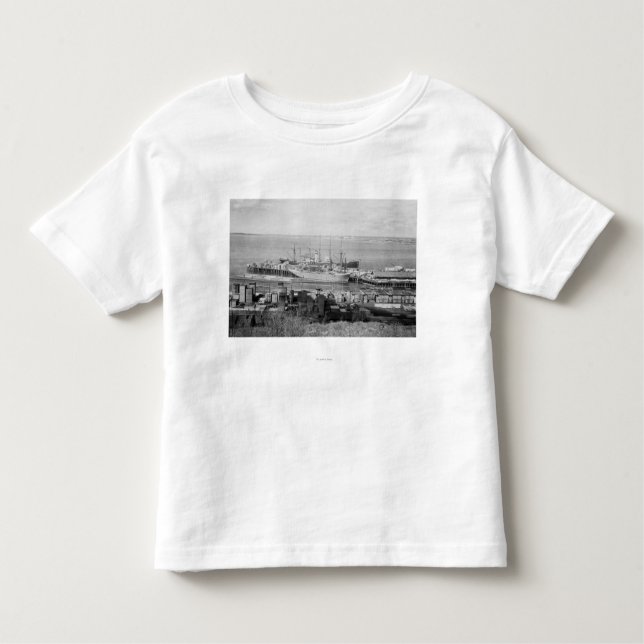 Bellingham WA-skeppsdockor beskådar av T-shirt (Framsida)