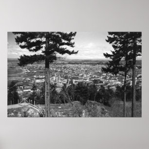 Bellingham WA-Town beskådar från den Sehome backen Poster