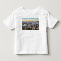 Bellingham Washington - antenn av staden