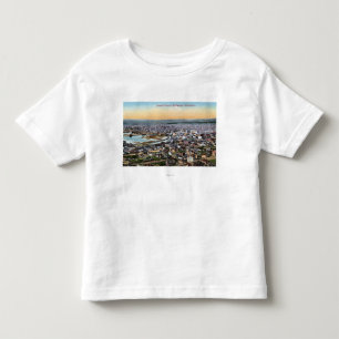 Bellingham Washington - antenn av staden T-shirt