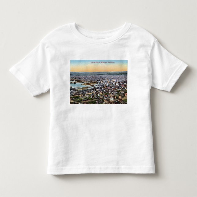 Bellingham Washington - antenn av staden T-shirt (Framsida)