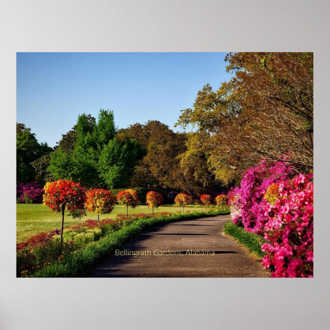 Bellingrath Gardens, Alabama Poster (Framsidan)