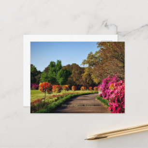 Bellingrath Gardens, Alabama Vykort