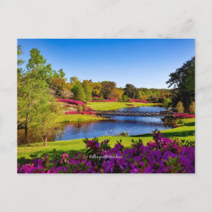 Bellingrath Gardens, Alabama Vykort