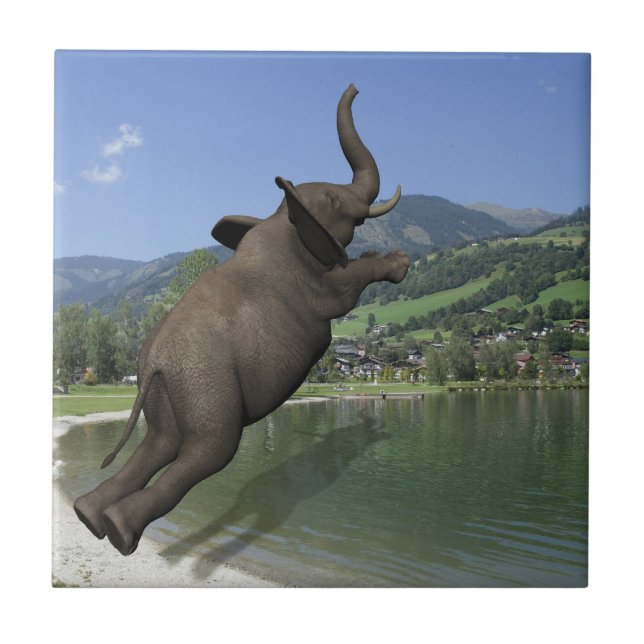 Belly Flop Elephant Kakelplatta (Framsidan)