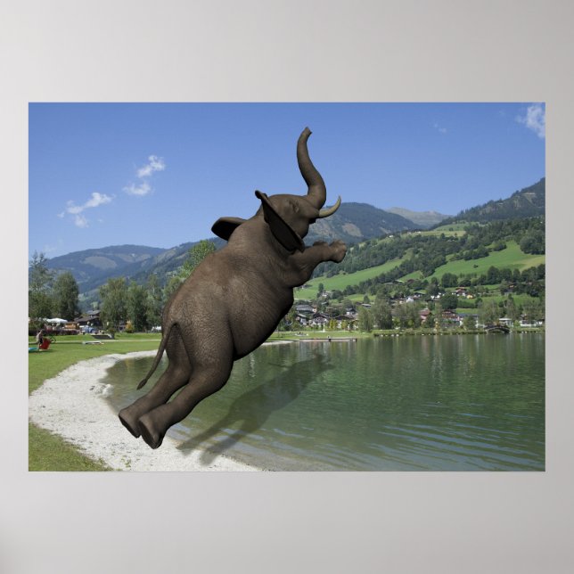 Belly Flop Elephant Poster (Framsidan)