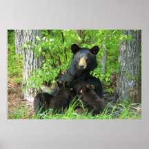 Belly Up Momma Bear och Twin Unge