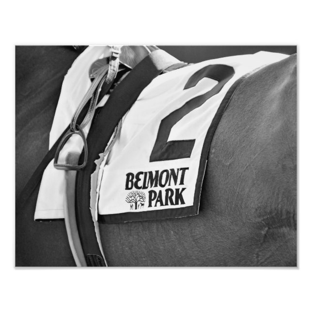 Belmont Park sedan 1905 Fototryck (Framsidan)