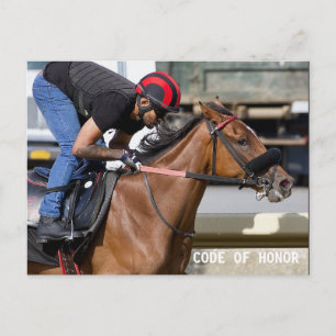 Belmont Park Track (1) Vykort