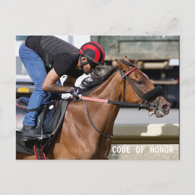 Belmont Park Track (1) Vykort (Framsida)