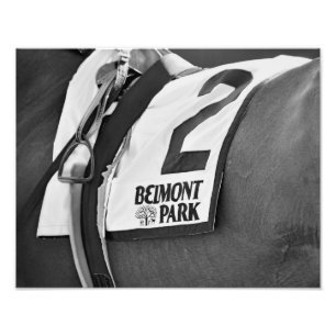 Belmontparken sedan 1905 fototryck