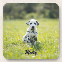 Beloved Dalmatian Personlig Underlägg set