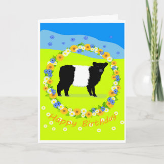 Belted Galloway calf birthday card Helgkort