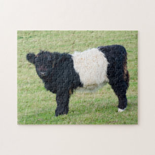 Belted Galloway Calf Jigszle puzzle Pussel