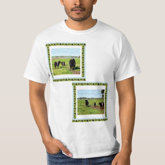 Belted Galloway Cow Family T Shirt (Framsida)