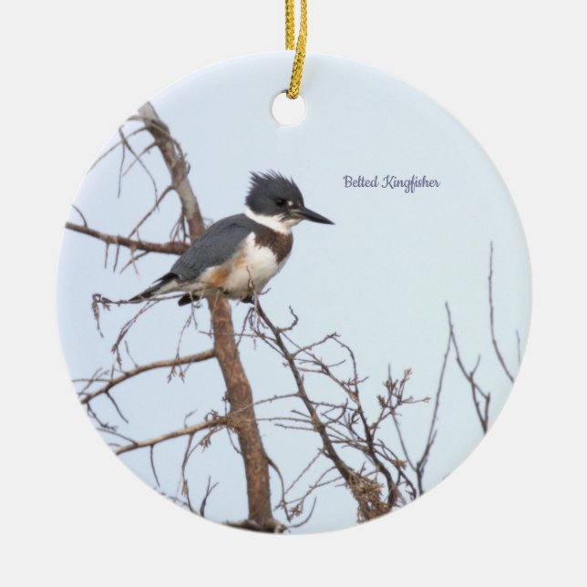 Belted Kingfisher Bird Ornament  (Framsidan)