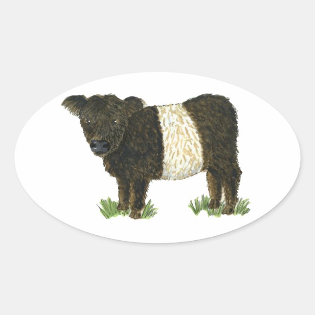 Beltie Belted Galloway Ovalt Klistermärke (Framsida)