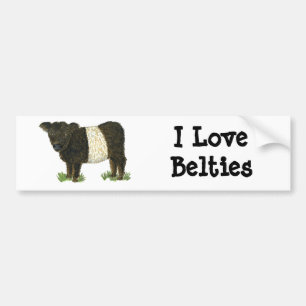 "Beltie" köt Galloway Bildekal