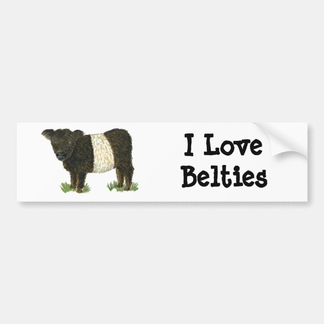 "Beltie" köt Galloway Bildekal (Framsidan)