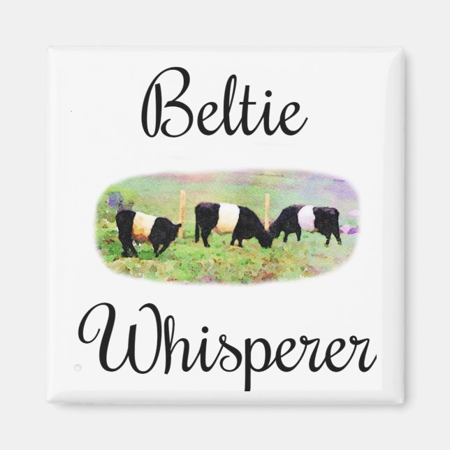 Beltie Whisperer Belted Galloway Cattle Funny Cows Magnet (Framsidan)