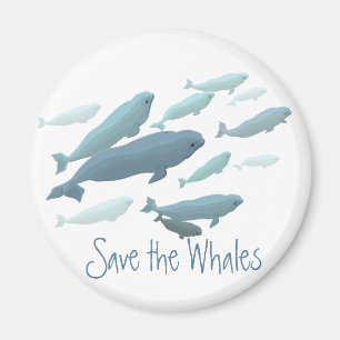 Beluga Fridge Magnet Anpassningsbar Beluga Whale M